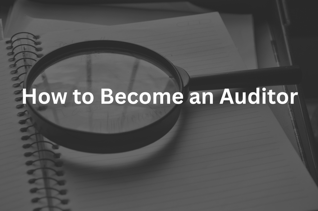 Auditor